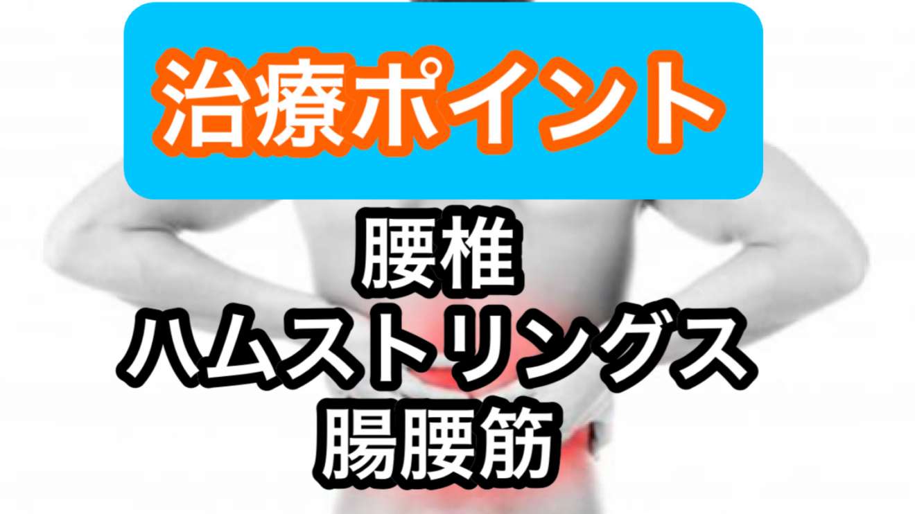 整形外科で明日から使える腰椎疾患アプローチ 東京開催 Pt Ot St Net