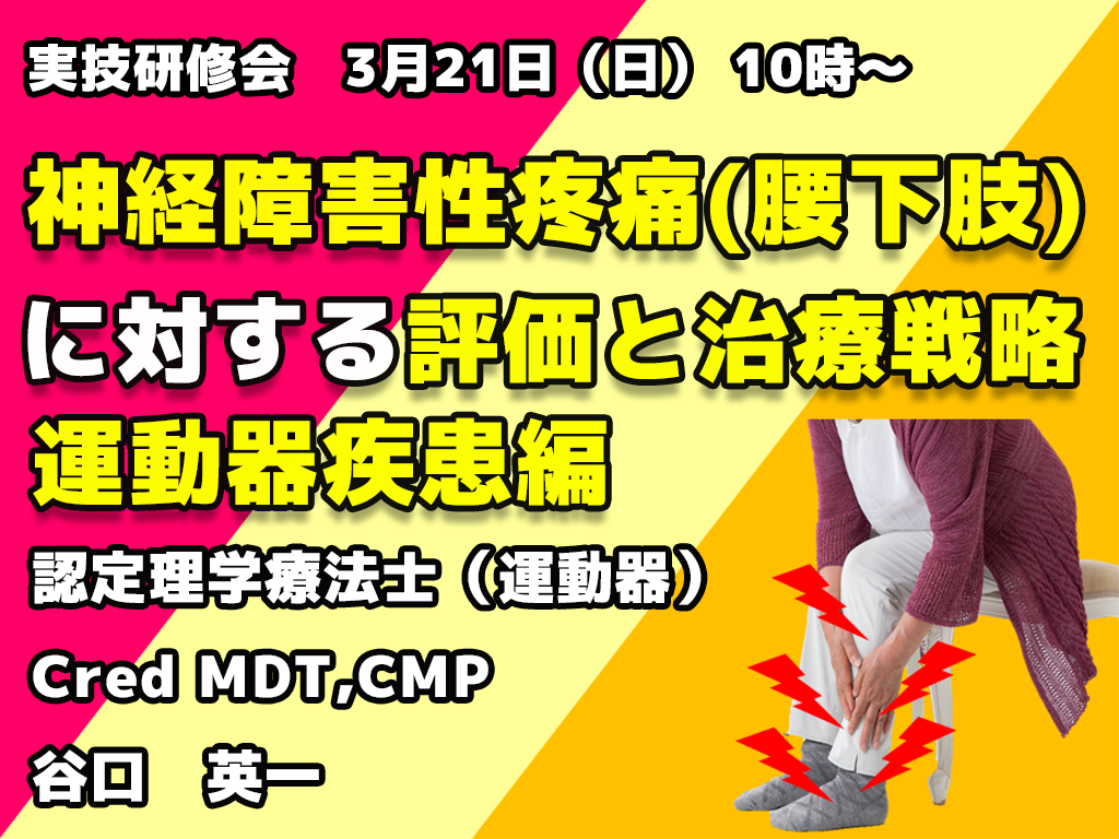 神経障害性疼痛 腰部 下肢 に対する評価と治療 運動器疾患編 Pt Ot St Net