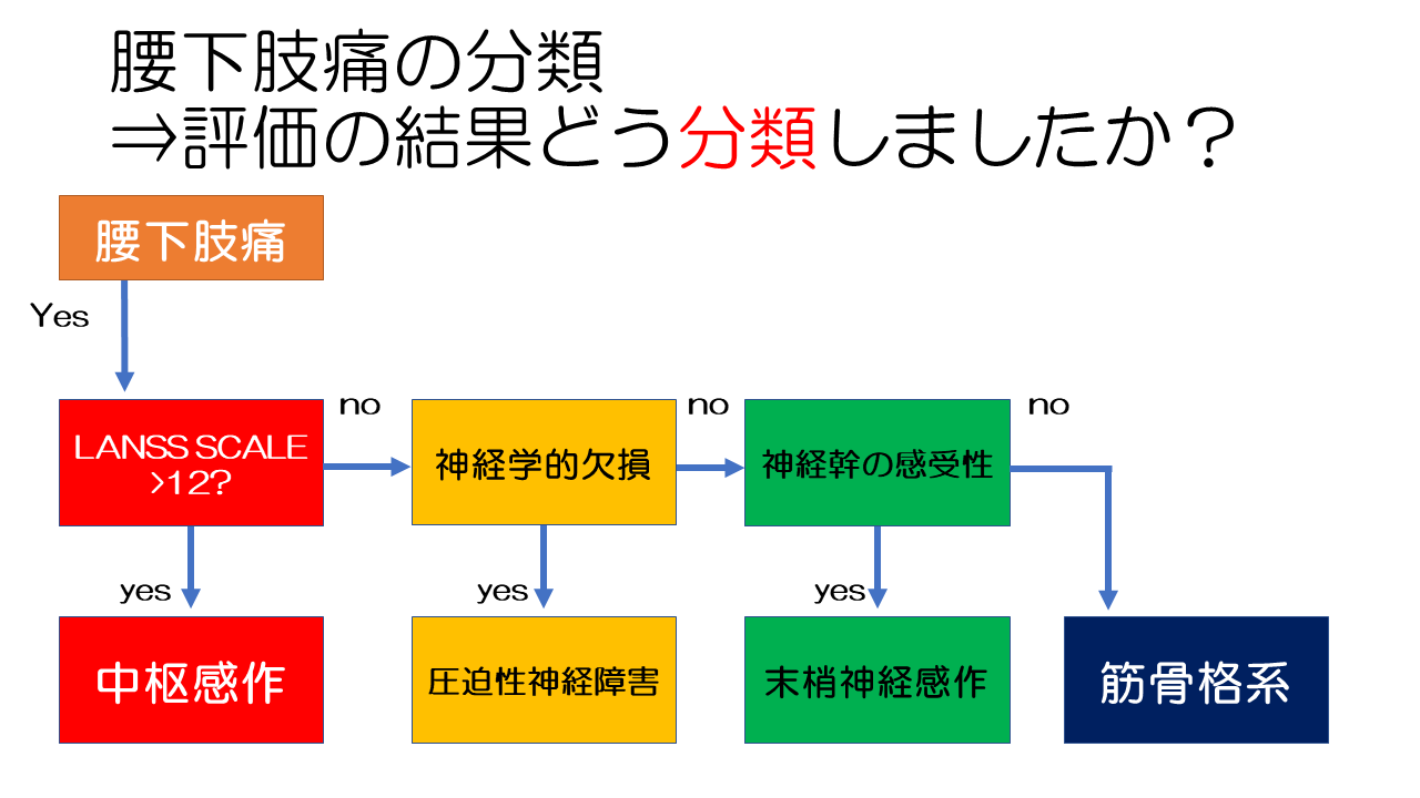 機能解剖学に基づいた腰痛の評価と治療 ME309-S 予約販売本 - dcsh.xoc