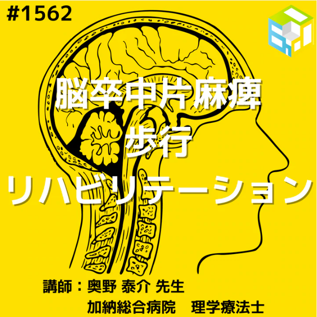 アナトミートレインと経絡治療 エポック筋膜リハスクール初級編 Pt Ot St Net