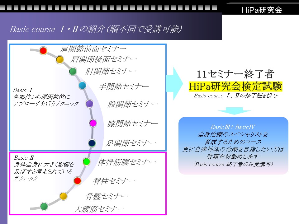 驚きの価格 機能脳科学療法 あんしん療法 松島弘之先生 - DVD/ブルーレイ