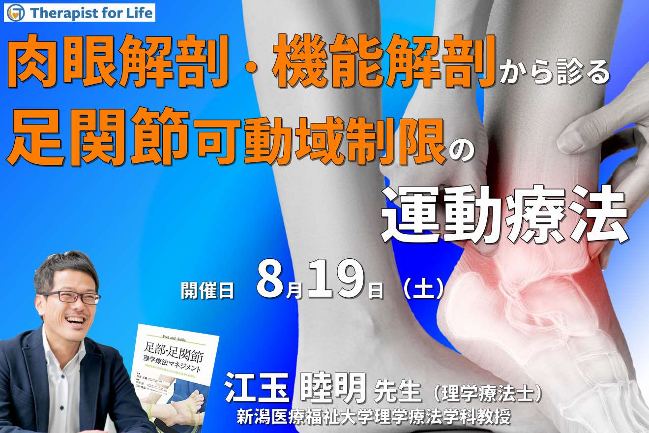 肉眼解剖・機能解剖学的視点から紐解く足関節可動域制限の評価と運動