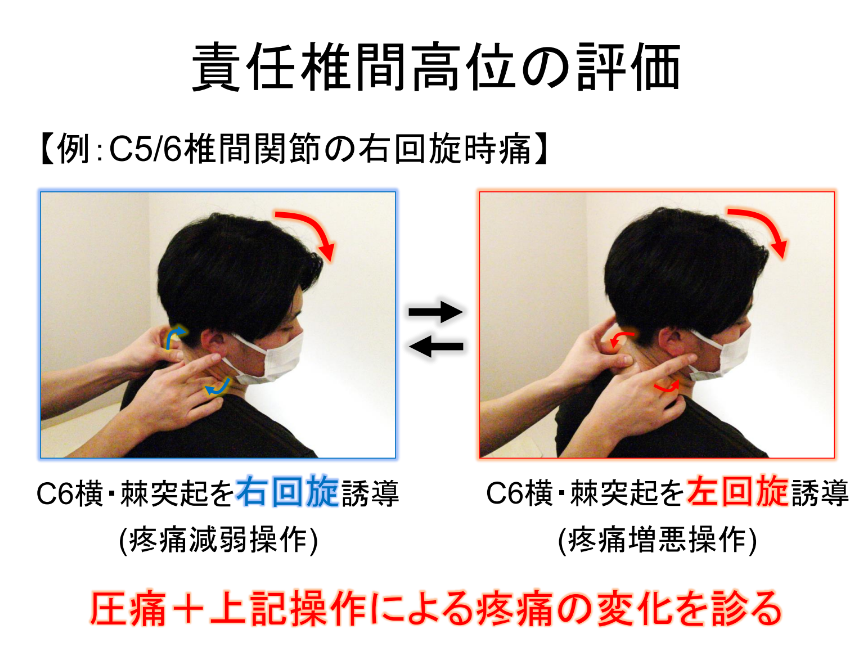 ①機能解剖と触診②肩関節痛・頚部痛のリハビリ③運動器機能破綻④腰痛 