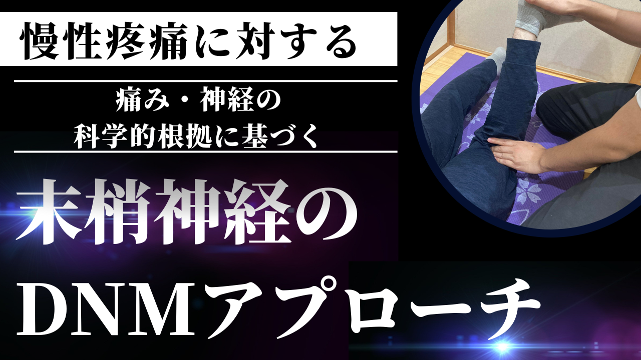 全身運動からみる肩関節の評価☆千葉慎一 - その他