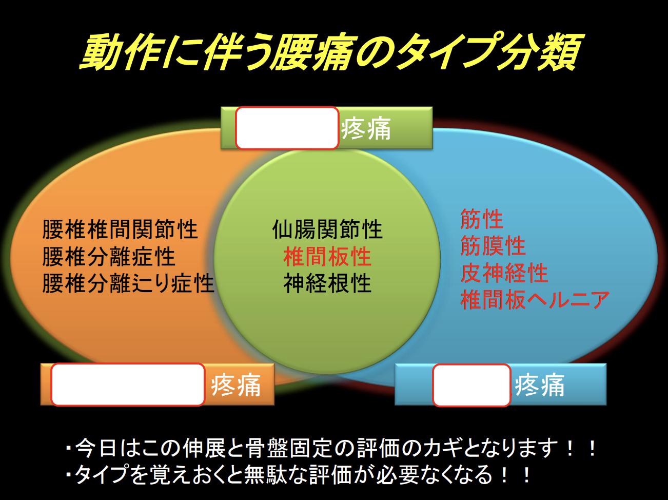 期間限定】 機能解剖学に基づいた腰痛の評価と治療 参考書