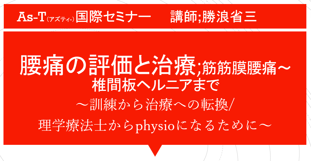 ☆美品☆STIC システムセミナー 腰椎・下肢編/戸栗公男 DVD３枚 整体