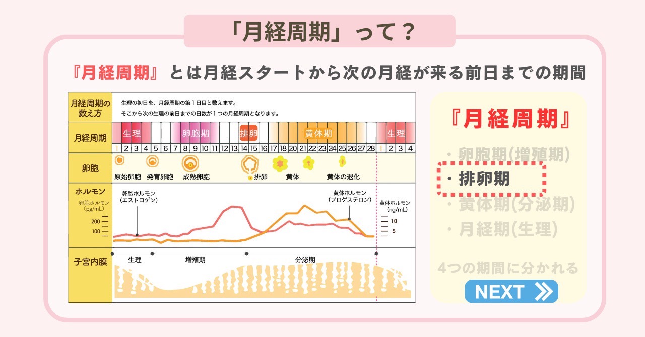 股関節 (新図説臨床整形外科講座)