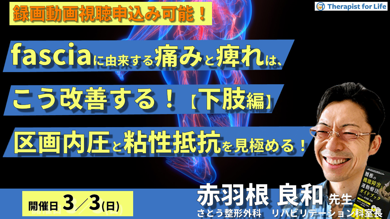 スタンダード骨折手術治療 下肢