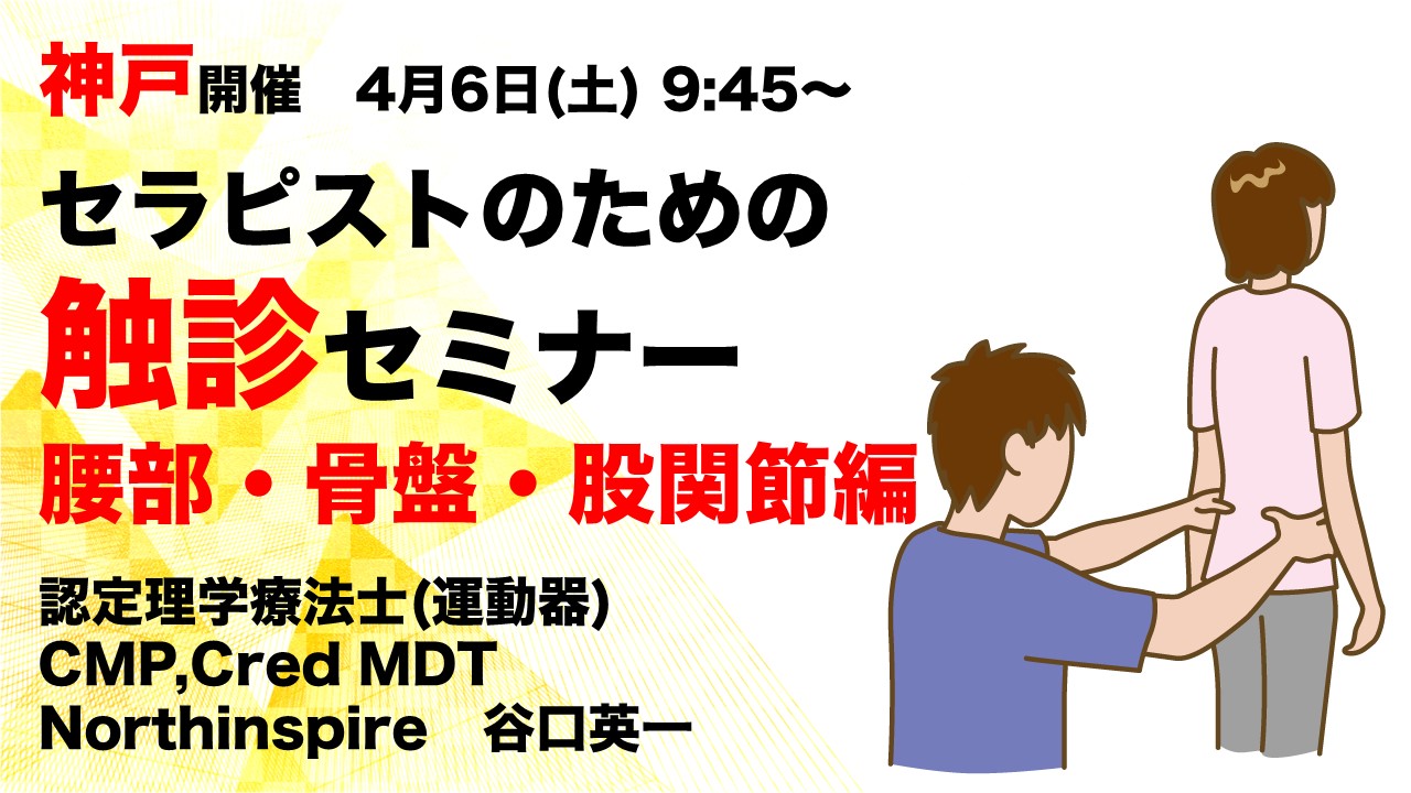 セラピストのための触診セミナー 腰部・骨盤・股関節編｜PT-OT-ST.NET