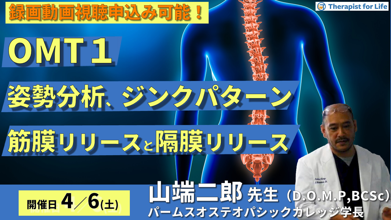 第７期【OMT】姿勢分析、ジンクパターン、筋膜・間接障壁の触診、筋膜