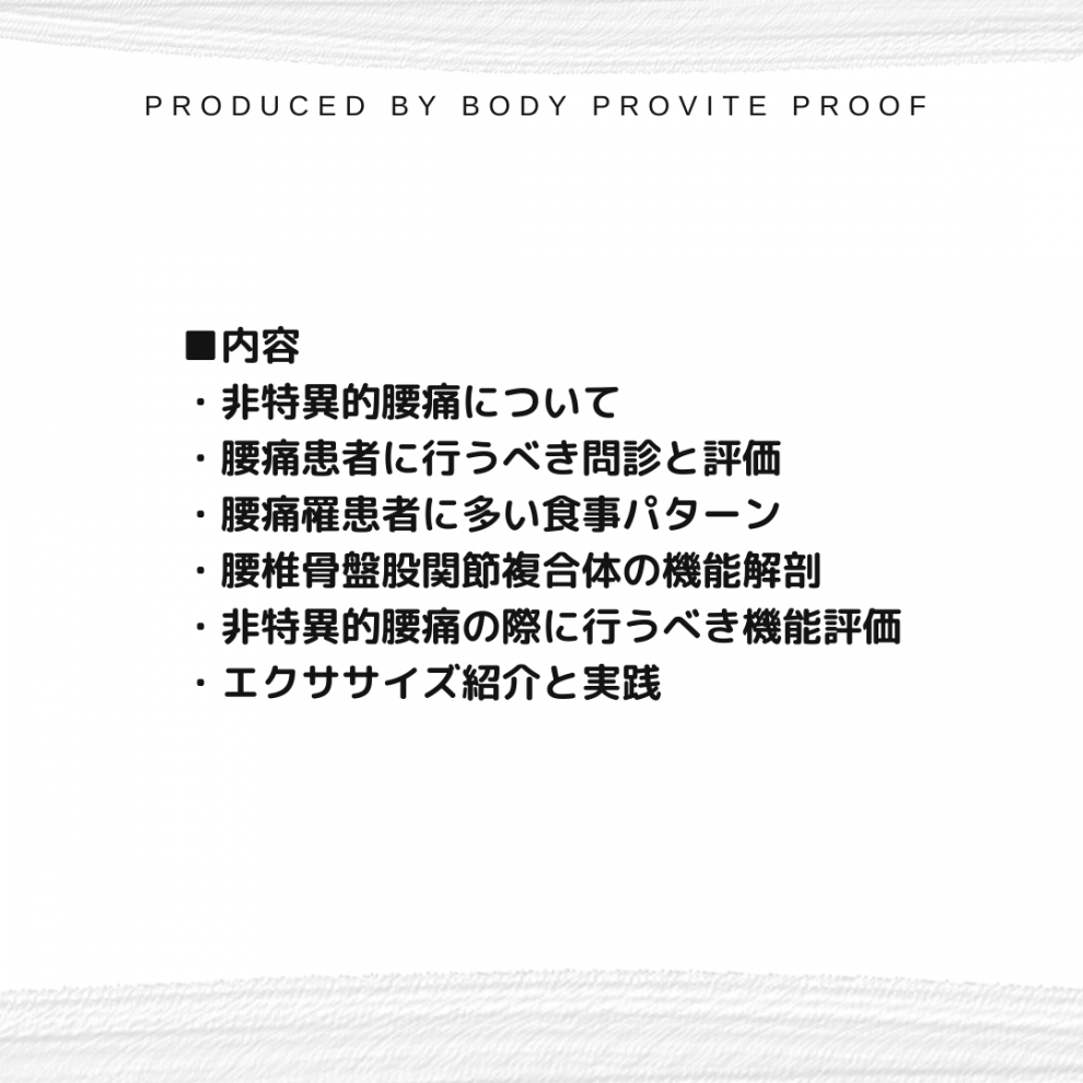 手技療法セミナー 機能解剖に基づく手技療法 腰椎と腰痛1～5 - DVD 